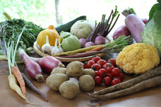 vegeLaboのプレスリリース画像1