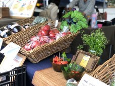 vegeLaboのプレスリリース