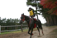 SUNNY FIELDのプレスリリース画像2