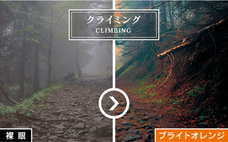 株式会社アックスのプレスリリース画像5