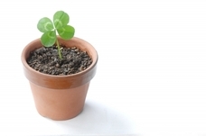 株式会社FFのプレスリリース画像1