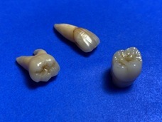 OCEANのプレスリリース画像3