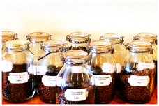 アヴァント株式会社のプレスリリース画像2