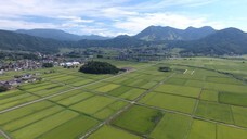 巻田正人のプレスリリース画像2