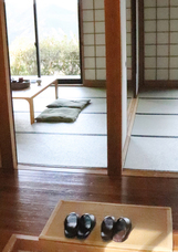 株式会社パンジーのプレスリリース画像2