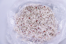 株式会社パンジーのプレスリリース画像4