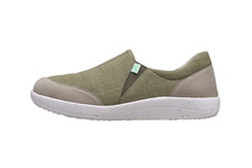 株式会社パンジーのプレスリリース画像3