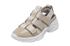 株式会社パンジーのプレスリリース画像4