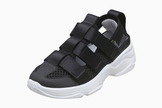 株式会社パンジーのプレスリリース画像3