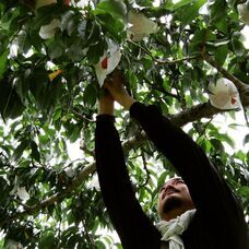 株式会社blow-inのプレスリリース画像7