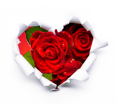 イヴセンス株式会社のプレスリリース画像2