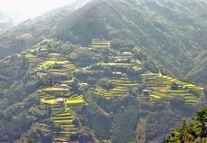 椎葉屋のプレスリリース画像9