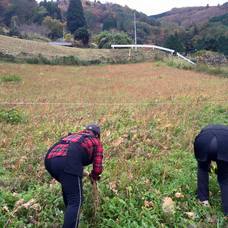 椎葉屋のプレスリリース画像7