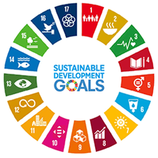 株式会社Y´ｓ GARAGEのプレスリリース画像1