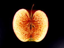 芸術と科学リエゾンユニットKYOTO（旧 京都大学芸術と科学リエゾンライトユニット）のプレスリリース画像1