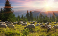 株式会社エスフィールドのプレスリリース画像7