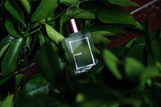 株式会社スイロのプレスリリース画像3