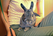 藤田 育代のプレスリリース画像6