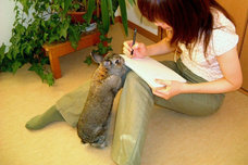 藤田 育代のプレスリリース画像4