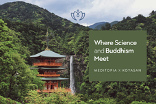 Meditopiaのプレスリリース画像1