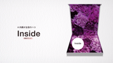 アインズ株式会社のプレスリリース画像1