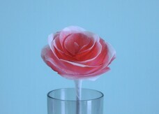 アインズ株式会社のプレスリリース画像2