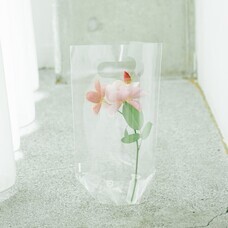 アインズ株式会社のプレスリリース画像2