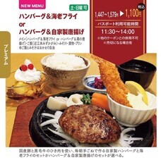 アインズ株式会社のプレスリリース画像3