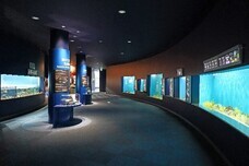 アインズ株式会社のプレスリリース画像3