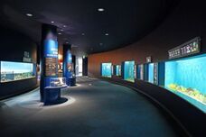 アインズ株式会社のプレスリリース画像4