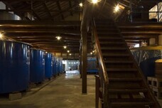 アインズ株式会社のプレスリリース画像5