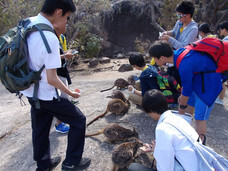 株式会社 Y＆K Narita International Schoolのプレスリリース画像2