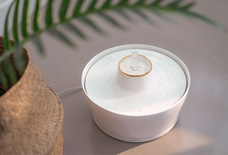 株式会社ヤベツジャパンのプレスリリース画像7