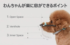 株式会社ヤベツジャパンのプレスリリース画像2