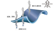 株式会社ヤベツジャパンのプレスリリース画像6