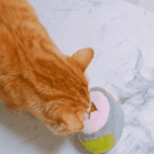 株式会社ヤベツジャパンのプレスリリース画像7