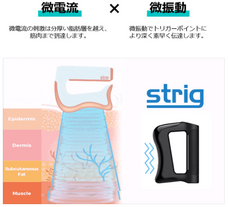 株式会社ヤベツジャパンのプレスリリース画像5