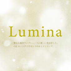 株式会社ほほえみブレインズのプレスリリース画像3