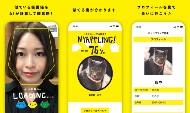 似てる猫診断アプリ Nyappling 無料配信を開始 ネコノラボのプレスリリース 似てる猫診断アプリ Nyappling 無料配信を開始 ネコノラボのプレスリリース