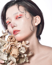 株式会社セレクトホールディングスのプレスリリース画像1