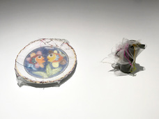 株式会社ペー・ジェー・セー・デー・ジャパンのプレスリリース画像1