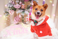 GIRLY DROPのプレスリリース画像9