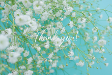 GIRLY DROPのプレスリリース画像3