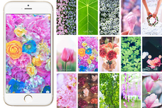 GIRLY DROPのプレスリリース画像1