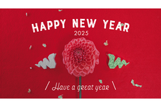 GIRLY DROPのプレスリリース画像15