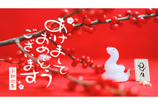 GIRLY DROPのプレスリリース画像8