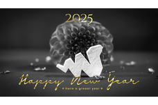 GIRLY DROPのプレスリリース画像1