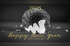 GIRLY DROPのプレスリリース画像9