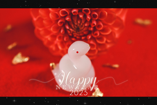 GIRLY DROPのプレスリリース画像5