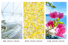 GIRLY DROPのプレスリリース画像8